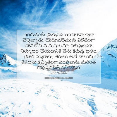 Picture 07 - యెహెజ్కేలు 14:21 TELIRV - ఎందుకంటే ప్రభువైన - Bible Verse Picture
