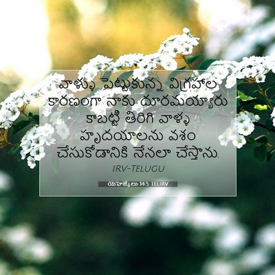 Picture 07 - యెహెజ్కేలు 14:5 TELIRV - వాళ్ళు - Bible Verse Picture