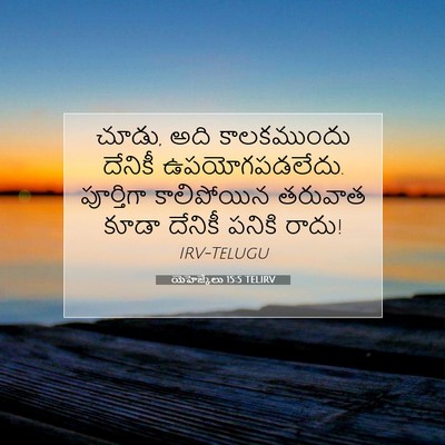 Picture 07 - యెహెజ్కేలు 15:5 TELIRV - చూడు, అది - Bible Verse Picture