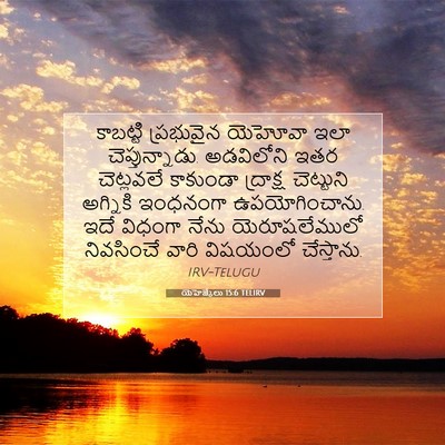 Picture 07 - యెహెజ్కేలు 15:6 TELIRV - కాబట్టి ప్రభువైన - Bible Verse Picture