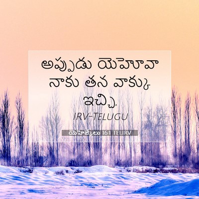 Picture 07 - యెహెజ్కేలు 16:1 TELIRV - అప్పుడు యెహోవా - Bible Verse Picture