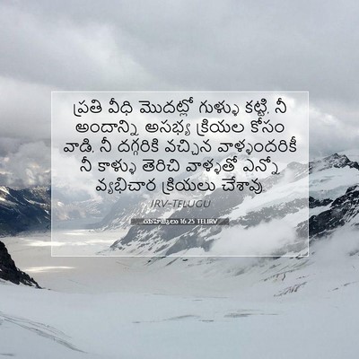 Picture 07 - యెహెజ్కేలు 16:25 TELIRV - ప్రతి వీధి - Bible Verse Picture