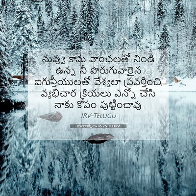 Picture 07 - యెహెజ్కేలు 16:26 TELIRV - నువ్వు కామ - Bible Verse Picture