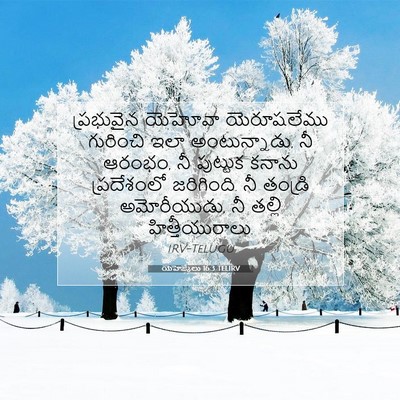 Picture 07 - యెహెజ్కేలు 16:3 TELIRV - ప్రభువైన యెహోవా - Bible Verse Picture