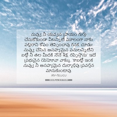 Picture 07 - యెహెజ్కేలు 16:43 TELIRV - నువ్వు నీ యవ్వన - Bible Verse Picture