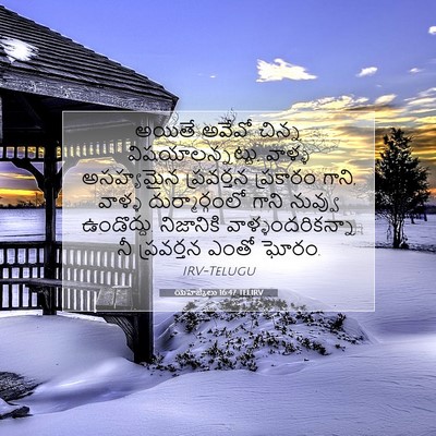 Picture 07 - యెహెజ్కేలు 16:47 TELIRV - అయితే అవేవో చిన్న - Bible Verse Picture