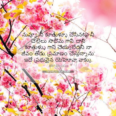Picture 07 - యెహెజ్కేలు 16:48 TELIRV - నువ్వూ, నీ - Bible Verse Picture