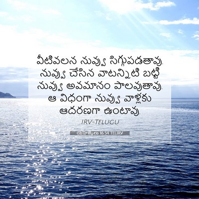 Picture 07 - యెహెజ్కేలు 16:54 TELIRV - వీటివలన నువ్వు - Bible Verse Picture