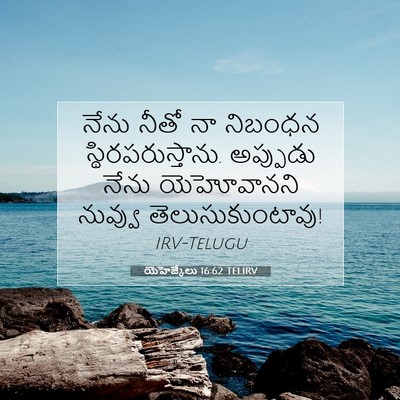 Picture 07 - యెహెజ్కేలు 16:62 TELIRV - నేను నీతో నా - Bible Verse Picture