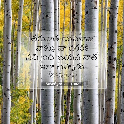 Picture 07 - యెహెజ్కేలు 17:11 TELIRV - తరువాత యెహోవా - Bible Verse Picture