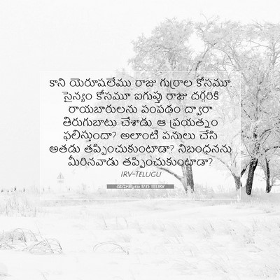 Picture 07 - యెహెజ్కేలు 17:15 TELIRV - కాని యెరూషలేము - Bible Verse Picture