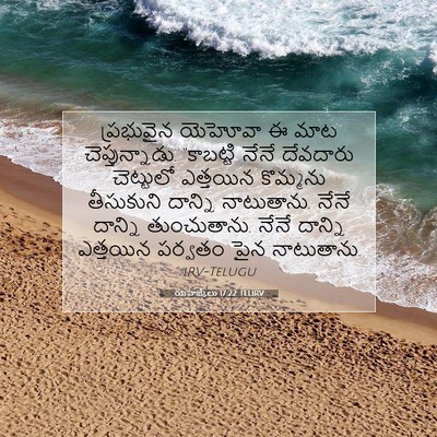 Picture 07 - యెహెజ్కేలు 17:22 TELIRV - ప్రభువైన యెహోవా ఈ - Bible Verse Picture