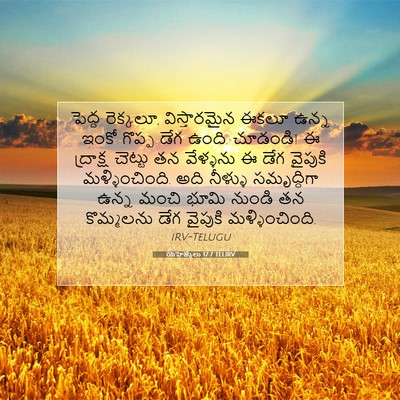 Picture 07 - యెహెజ్కేలు 17:7 TELIRV - పెద్ద రెక్కలూ, - Bible Verse Picture