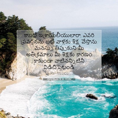 Picture 07 - యెహెజ్కేలు 18:30 TELIRV - కాబట్టి - Bible Verse Picture