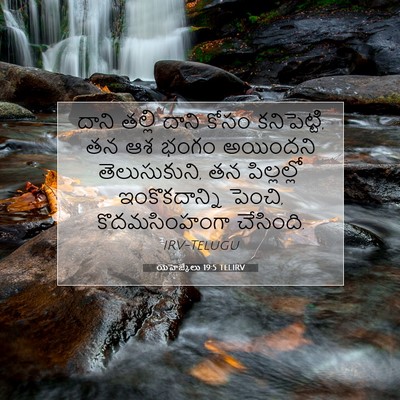 Picture 07 - యెహెజ్కేలు 19:5 TELIRV - దాని తల్లి దాని - Bible Verse Picture