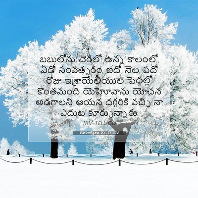Picture 07 - యెహెజ్కేలు 20:1 TELIRV - బబులోను చెరలో - Bible Verse Picture