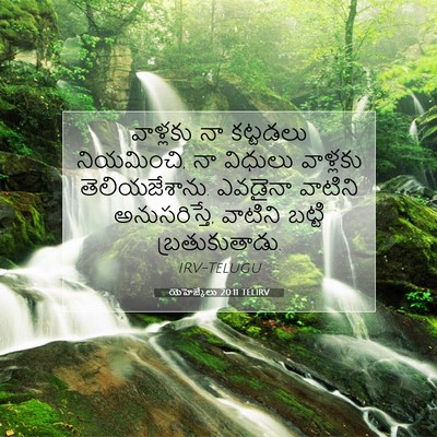 Picture 07 - యెహెజ్కేలు 20:11 TELIRV - వాళ్లకు నా - Bible Verse Picture