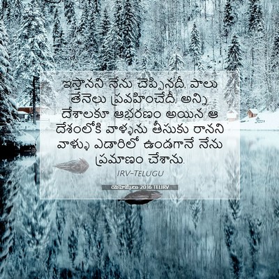Picture 07 - యెహెజ్కేలు 20:16 TELIRV - ఇస్తానని నేను - Bible Verse Picture