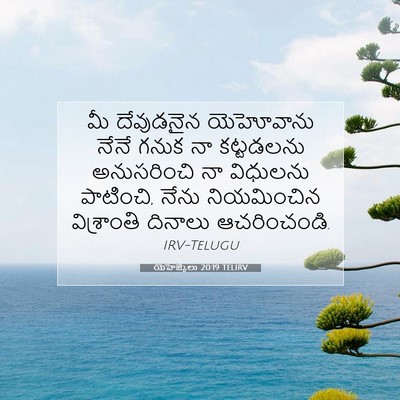 Picture 07 - యెహెజ్కేలు 20:19 TELIRV - మీ దేవుడనైన - Bible Verse Picture