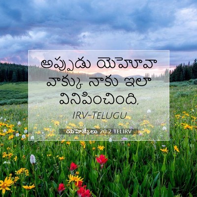 Picture 07 - యెహెజ్కేలు 20:2 TELIRV - అప్పుడు యెహోవా - Bible Verse Picture