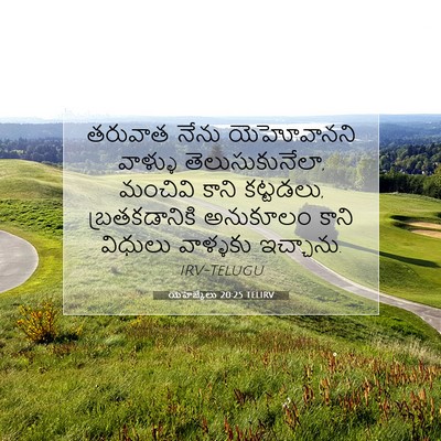 Picture 07 - యెహెజ్కేలు 20:25 TELIRV - తరువాత నేను - Bible Verse Picture