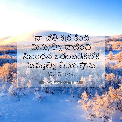 Picture 07 - యెహెజ్కేలు 20:37 TELIRV - “నా చేతి కర్ర కింద - Bible Verse Picture