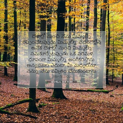 Picture 07 - యెహెజ్కేలు 20:41 TELIRV - దేశాల్లో నుంచి - Bible Verse Picture