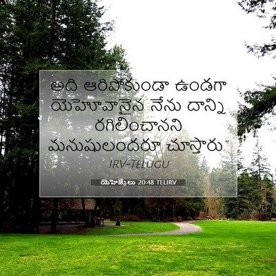 Picture 07 - యెహెజ్కేలు 20:48 TELIRV - అది ఆరిపోకుండా - Bible Verse Picture