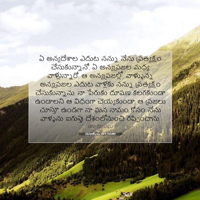 Picture 07 - యెహెజ్కేలు 20:9 TELIRV - ఏ అన్యదేశాల ఎదుట - Bible Verse Picture