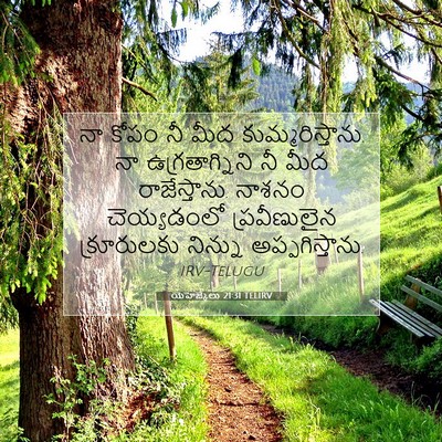 Picture 07 - యెహెజ్కేలు 21:31 TELIRV - నా కోపం నీ మీద - Bible Verse Picture