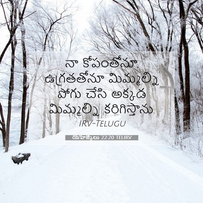 Picture 07 - యెహెజ్కేలు 22:20 TELIRV - నా కోపంతోనూ, - Bible Verse Picture