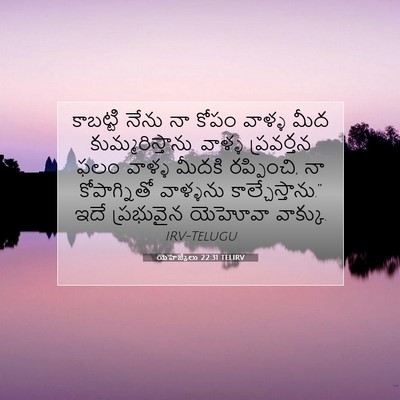 Picture 07 - యెహెజ్కేలు 22:31 TELIRV - కాబట్టి నేను నా - Bible Verse Picture