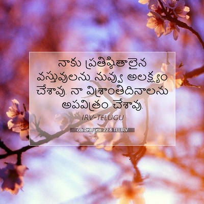 Picture 07 - యెహెజ్కేలు 22:8 TELIRV - నాకు - Bible Verse Picture