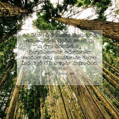 Picture 07 - యెహెజ్కేలు 23:6 TELIRV - తన విటుల మీద మొహం - Bible Verse Picture