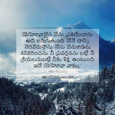 Picture 07 - యెహెజ్కేలు 24:14 TELIRV - యెహోవానైన నేను - Bible Verse Picture