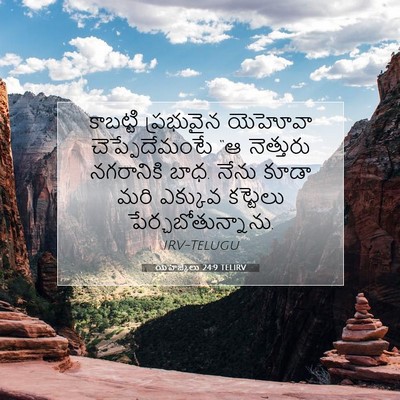 Picture 07 - యెహెజ్కేలు 24:9 TELIRV - కాబట్టి ప్రభువైన - Bible Verse Picture