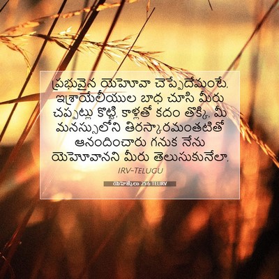 Picture 07 - యెహెజ్కేలు 25:6 TELIRV - ప్రభువైన యెహోవా - Bible Verse Picture