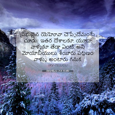 Picture 07 - యెహెజ్కేలు 25:8 TELIRV - ప్రభువైన యెహోవా - Bible Verse Picture