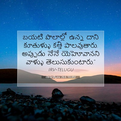 Picture 07 - యెహెజ్కేలు 26:6 TELIRV - బయటి పొలాల్లో - Bible Verse Picture
