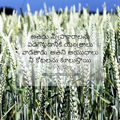 Picture 07 - యెహెజ్కేలు 26:9 TELIRV - అతడు నీ - Bible Verse Picture