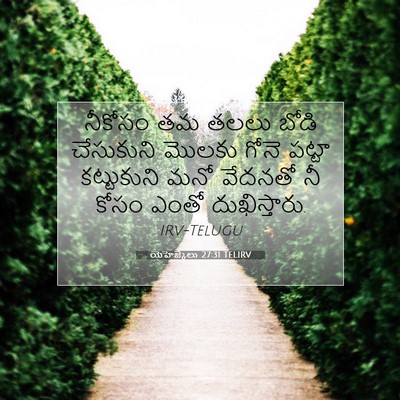 Picture 07 - యెహెజ్కేలు 27:31 TELIRV - నీకోసం తమ తలలు - Bible Verse Picture