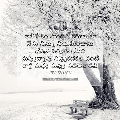 Picture 07 - యెహెజ్కేలు 28:14 TELIRV - అభిషేకం పొందిన - Bible Verse Picture