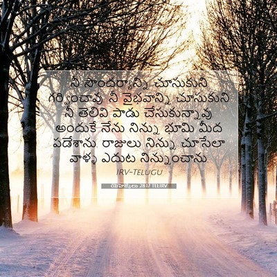 Picture 07 - యెహెజ్కేలు 28:17 TELIRV - నీ సౌందర్యాన్ని - Bible Verse Picture
