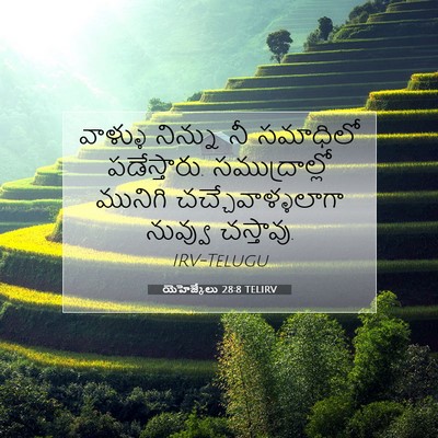 Picture 07 - యెహెజ్కేలు 28:8 TELIRV - వాళ్ళు నిన్ను నీ - Bible Verse Picture