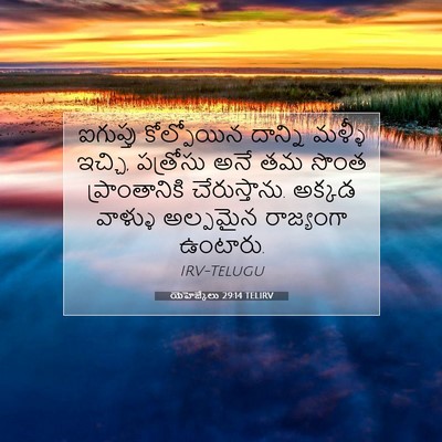 Picture 07 - యెహెజ్కేలు 29:14 TELIRV - ఐగుప్తు కోల్పోయిన - Bible Verse Picture