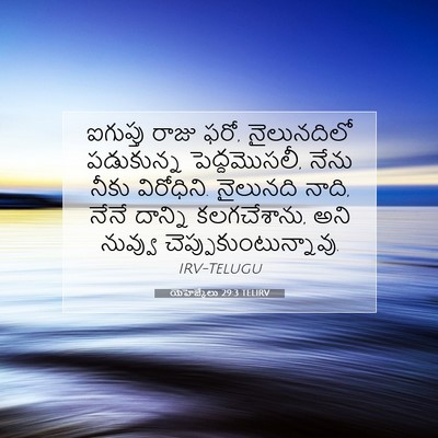 Picture 07 - యెహెజ్కేలు 29:3 TELIRV - ఐగుప్తు రాజు ఫరో, - Bible Verse Picture