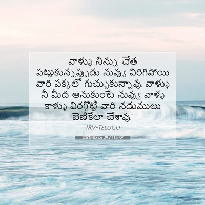Picture 07 - యెహెజ్కేలు 29:7 TELIRV - వాళ్ళు నిన్ను చేత - Bible Verse Picture