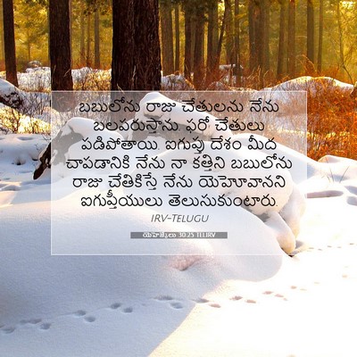 Picture 07 - యెహెజ్కేలు 30:25 TELIRV - బబులోను రాజు - Bible Verse Picture