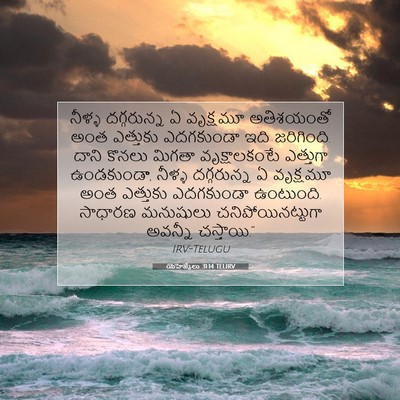 Picture 07 - యెహెజ్కేలు 31:14 TELIRV - నీళ్ళ దగ్గరున్న ఏ - Bible Verse Picture