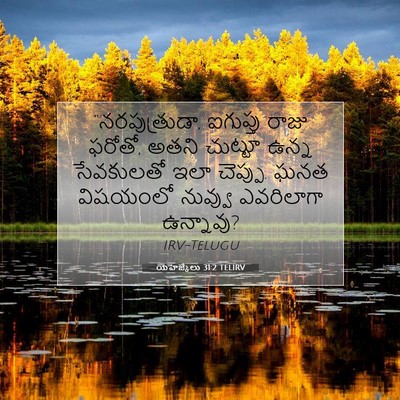 Picture 07 - యెహెజ్కేలు 31:2 TELIRV - “నరపుత్రుడా, - Bible Verse Picture